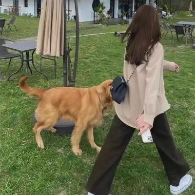 丹尼尔