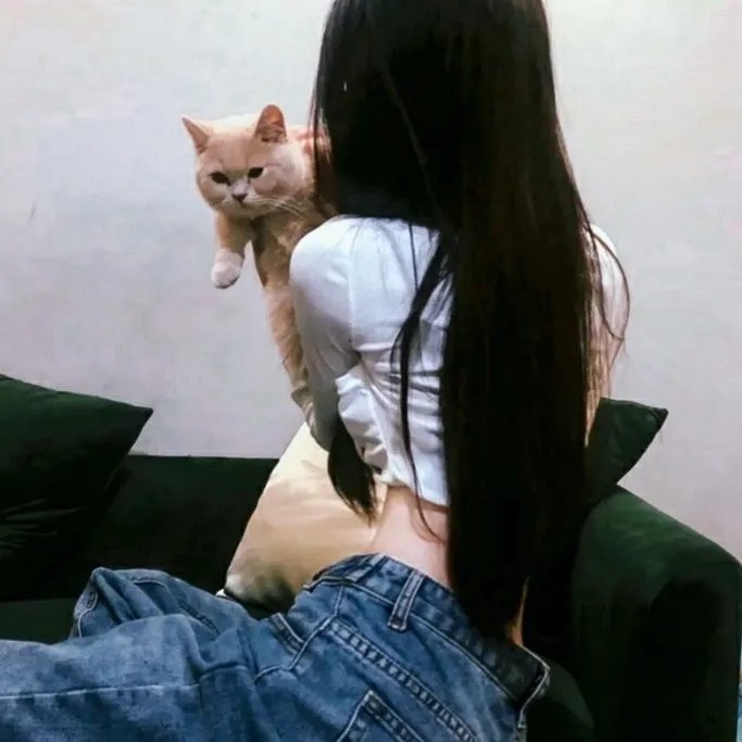 纽约摄影师的日与夜
